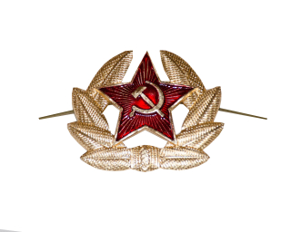 Odznak Ruská hvězda s okružím