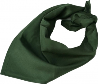 Šátek zelený AČR orig